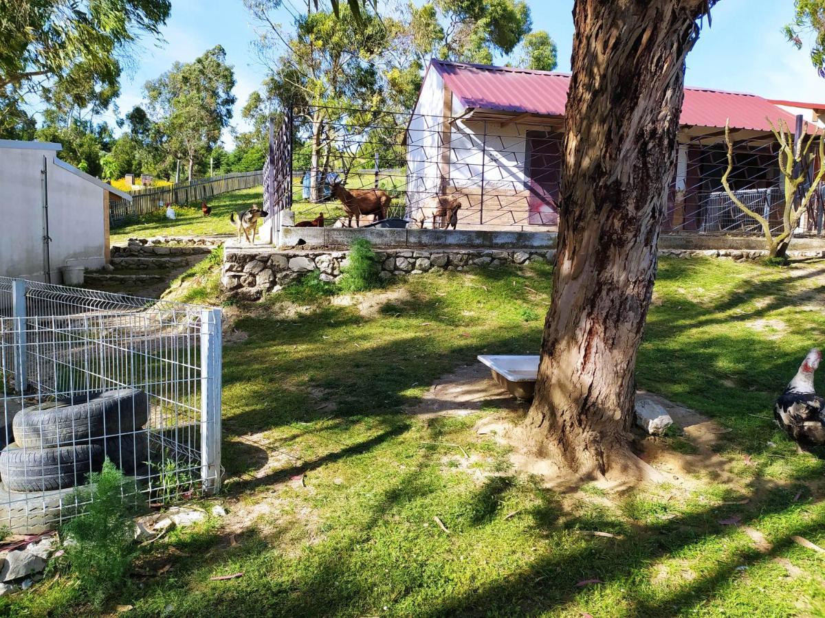 Herdade Da Hera Azambuja Extérieur photo